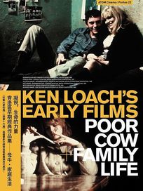 母牛‧家庭生活