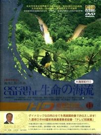 大海球紀行II 生命的海流XI-哥斯大黎加