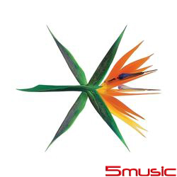 第四張專輯「THE WAR」(韓國進口/韓文版)