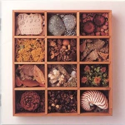 百萬暢銷金唱片精選全集