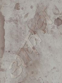 椎名林檎與彼奴等所在之真空地帶(藍光BD)