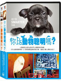 你比動物聰明嗎？