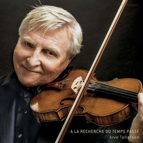 追憶似水年華(LP)