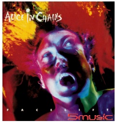 整容(2021 2LP黑膠)