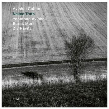 赤裸裸的真相 (LP)