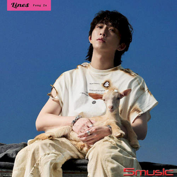 Lines  平裝版