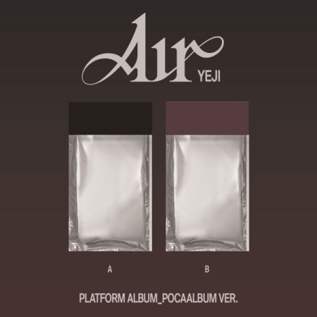 (隨機版)「Air(PLATFORM ALBUM_POCAALBUM VER.)」(韓國進口版)