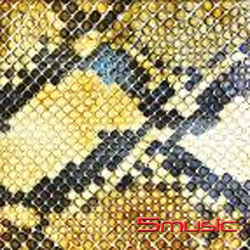 迷幻情歌(進口)