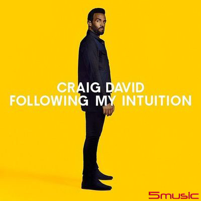 直覺反應(黑膠唱片)