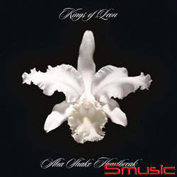 不規則心碎(2017 2LP黑膠)