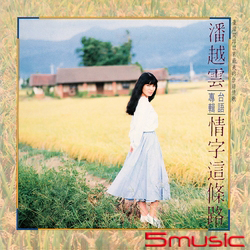 情字這條路(黑膠180g/33轉)