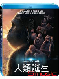 人類誕生-(藍光)