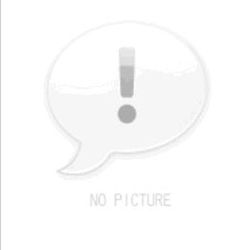 可可托海的牧羊人