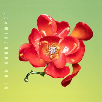 愛之花 (日本進口通常盤)