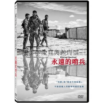 隱身伊拉克與敘利亞─永遠的哨兵