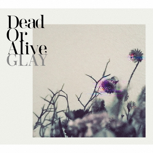 Dead Or Alive (日本進口CD+DVD)