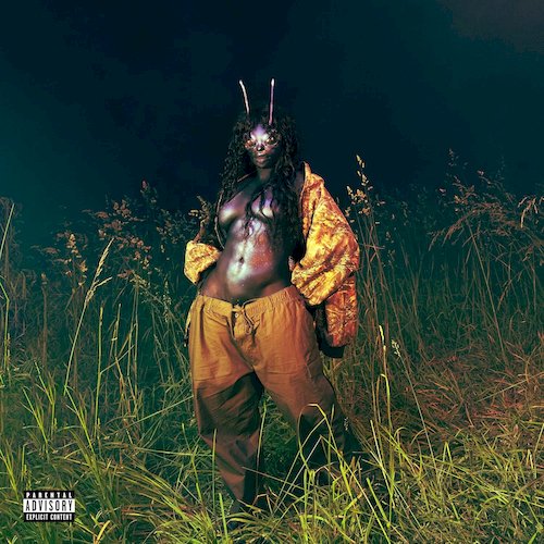 愛情警報 豪華版：拉娜 (4LP螢光綠彩膠)